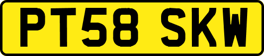 PT58SKW