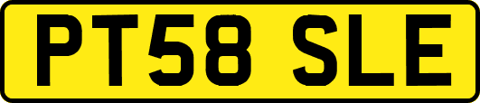 PT58SLE