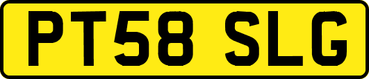 PT58SLG