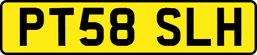PT58SLH