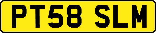 PT58SLM