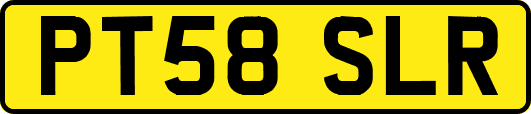 PT58SLR