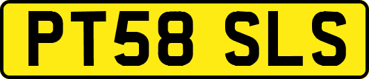 PT58SLS