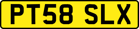 PT58SLX