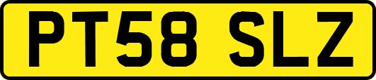 PT58SLZ