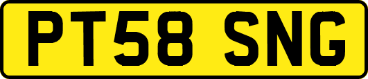 PT58SNG