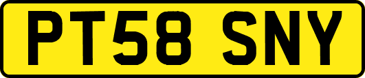 PT58SNY