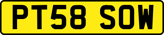 PT58SOW