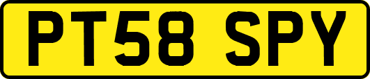 PT58SPY