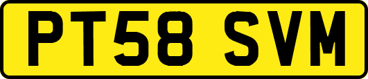PT58SVM