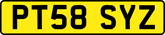 PT58SYZ