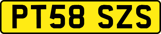 PT58SZS