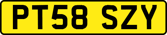 PT58SZY