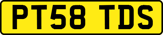 PT58TDS