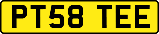 PT58TEE