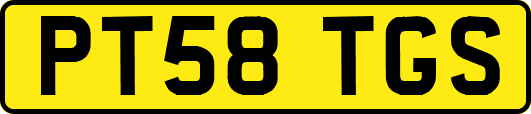 PT58TGS