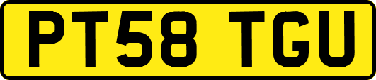 PT58TGU