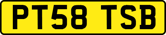 PT58TSB