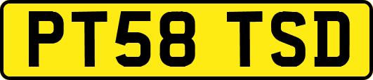 PT58TSD