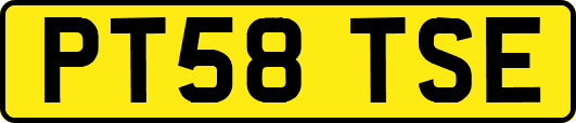 PT58TSE