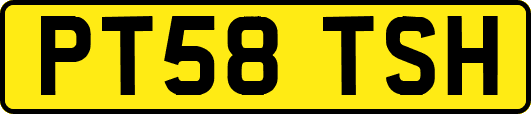 PT58TSH
