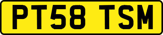 PT58TSM