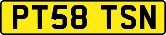 PT58TSN