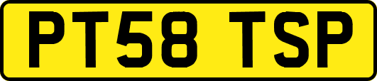 PT58TSP