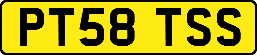 PT58TSS