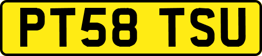 PT58TSU