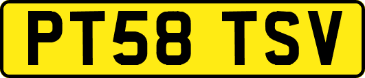 PT58TSV