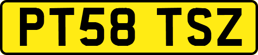 PT58TSZ