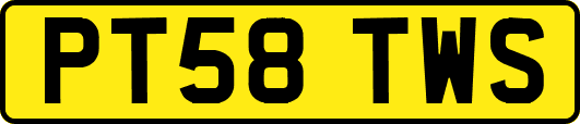 PT58TWS