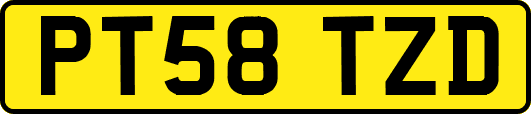 PT58TZD