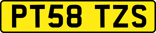PT58TZS