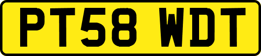 PT58WDT