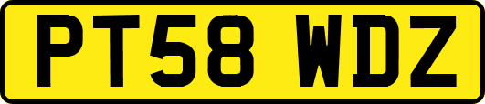 PT58WDZ