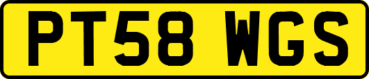 PT58WGS