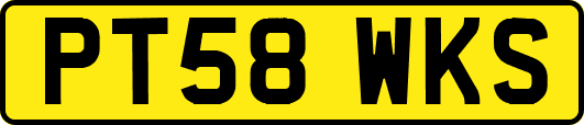 PT58WKS