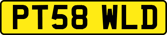 PT58WLD