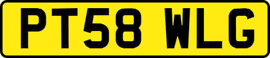 PT58WLG