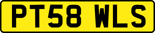 PT58WLS