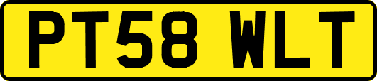 PT58WLT