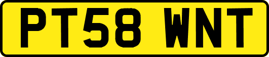 PT58WNT