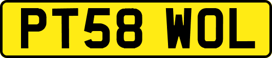 PT58WOL