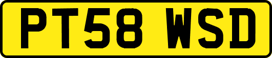 PT58WSD