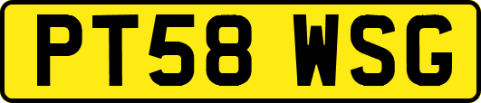 PT58WSG