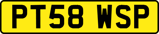 PT58WSP