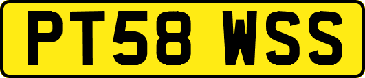 PT58WSS