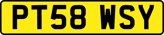 PT58WSY